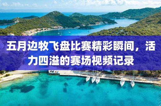 五月邊牧飛盤比賽精彩瞬間，活力四溢的賽場視頻記錄
