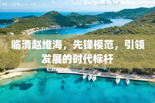 臨清趙維海，先鋒模范，引領(lǐng)發(fā)展的時(shí)代標(biāo)桿