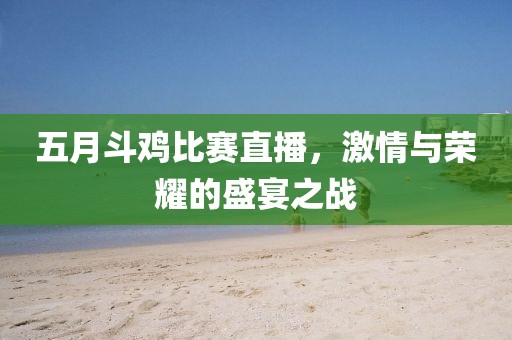 五月斗雞比賽直播，激情與榮耀的盛宴之戰(zhàn)