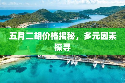 五月二胡價格揭秘，多元因素探尋