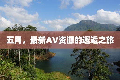 五月，最新AV資源的邂逅之旅