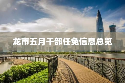龍市五月干部任免信息總覽
