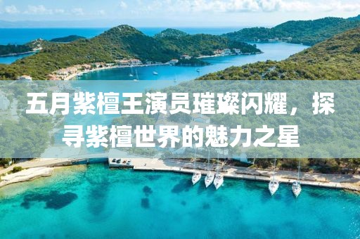 五月紫檀王演員璀璨閃耀，探尋紫檀世界的魅力之星