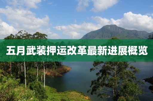 五月武裝押運改革最新進展概覽