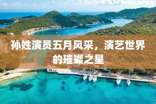 孫姓演員五月風(fēng)采，演藝世界的璀璨之星