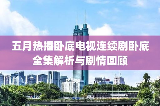 五月熱播臥底電視連續(xù)劇臥底全集解析與劇情回顧