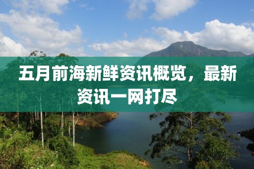 五月前海新鮮資訊概覽，最新資訊一網打盡