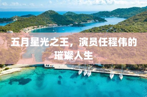 五月星光之王，演員任程偉的璀璨人生