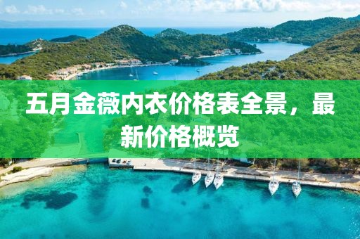 五月金薇內衣價格表全景，最新價格概覽