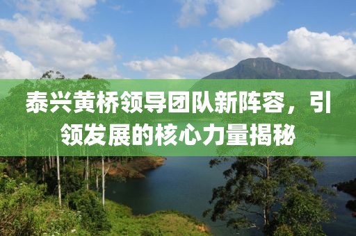 泰興黃橋領(lǐng)導(dǎo)團(tuán)隊(duì)新陣容，引領(lǐng)發(fā)展的核心力量揭秘