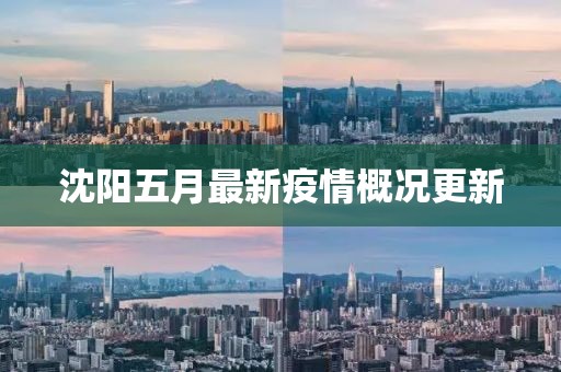 沈陽五月最新疫情概況更新