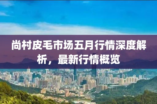 尚村皮毛市場五月行情深度解析，最新行情概覽