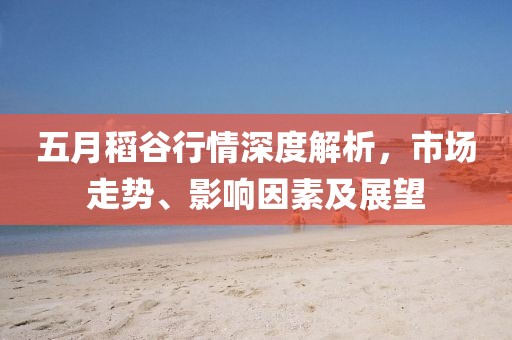 五月稻谷行情深度解析，市場走勢、影響因素及展望