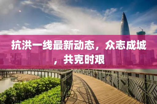 抗洪一線最新動(dòng)態(tài)，眾志成城，共克時(shí)艱