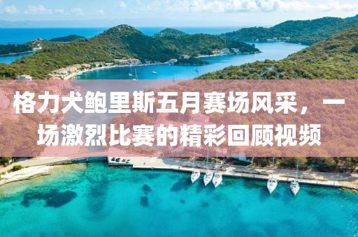 格力犬鮑里斯五月賽場風(fēng)采，一場激烈比賽的精彩回顧視頻