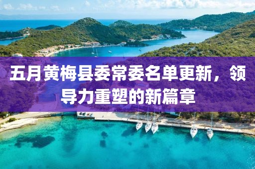 五月黃梅縣委常委名單更新，領導力重塑的新篇章