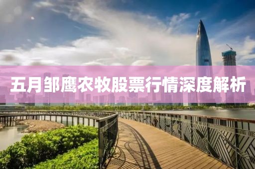 五月鄒鷹農(nóng)牧股票行情深度解析