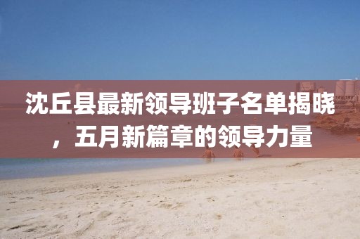沈丘縣最新領導班子名單揭曉，五月新篇章的領導力量