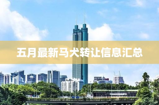 五月最新馬犬轉(zhuǎn)讓信息匯總