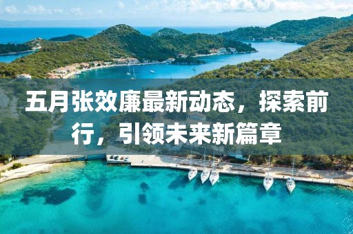 五月張效廉最新動態(tài)，探索前行，引領(lǐng)未來新篇章