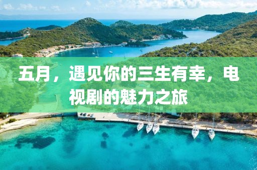 五月，遇見你的三生有幸，電視劇的魅力之旅