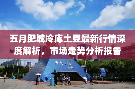 五月肥城冷庫土豆最新行情深度解析，市場走勢分析報(bào)告