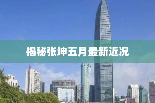 揭秘張坤五月最新近況