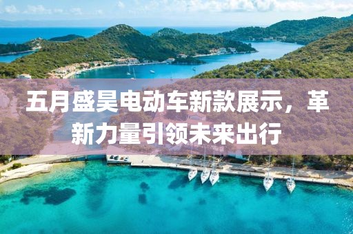 五月盛昊電動車新款展示，革新力量引領未來出行