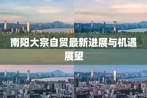 南陽大宗自貿(mào)最新進展與機遇展望