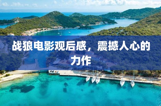 戰(zhàn)狼電影觀后感，震撼人心的力作