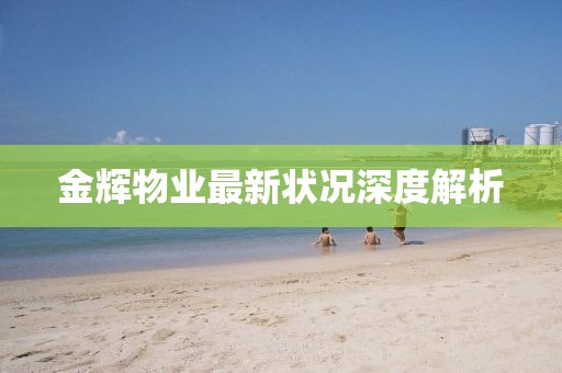 金輝物業(yè)最新狀況深度解析