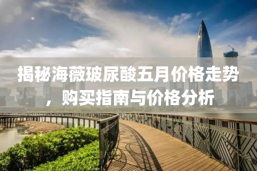 揭秘海薇玻尿酸五月價格走勢，購買指南與價格分析