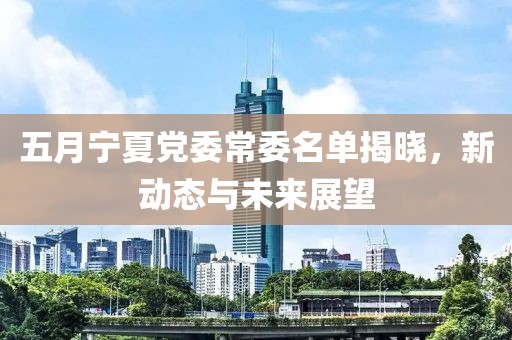五月寧夏黨委常委名單揭曉，新動態(tài)與未來展望
