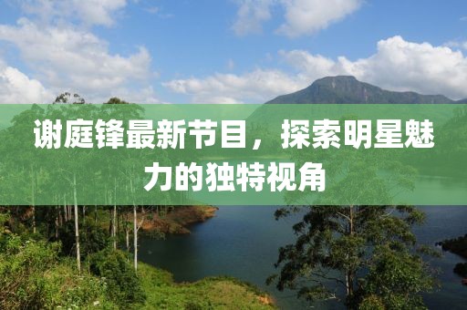 謝庭鋒最新節(jié)目，探索明星魅力的獨特視角