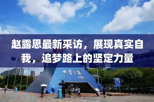 趙露思最新采訪，展現(xiàn)真實自我，追夢路上的堅定力量