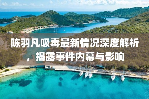 陳羽凡吸毒最新情況深度解析，揭露事件內(nèi)幕與影響