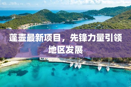 蓬壺最新項(xiàng)目，先鋒力量引領(lǐng)地區(qū)發(fā)展