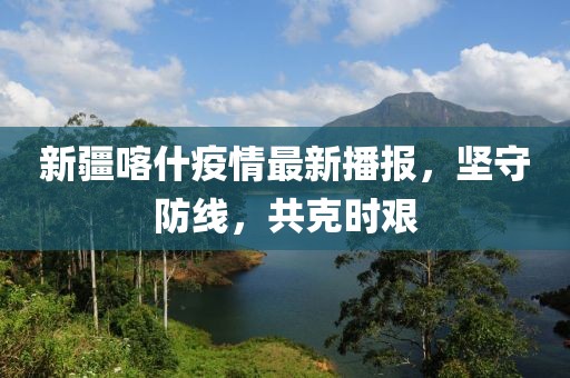 新疆喀什疫情最新播報，堅守防線，共克時艱