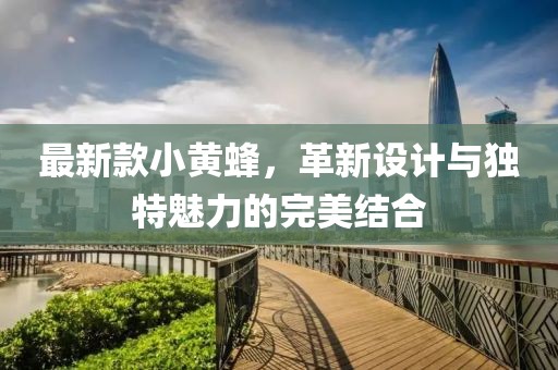 最新款小黃蜂，革新設(shè)計(jì)與獨(dú)特魅力的完美結(jié)合