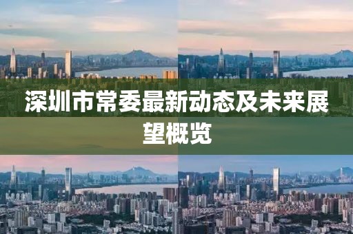 深圳市常委最新動(dòng)態(tài)及未來(lái)展望概覽