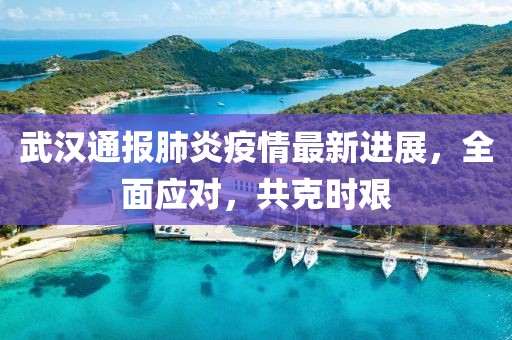 武漢通報(bào)肺炎疫情最新進(jìn)展，全面應(yīng)對(duì)，共克時(shí)艱