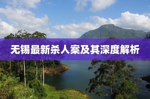 無錫最新殺人案及其深度解析
