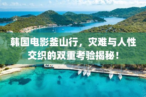 韓國電影釜山行，災難與人性交織的雙重考驗揭秘！