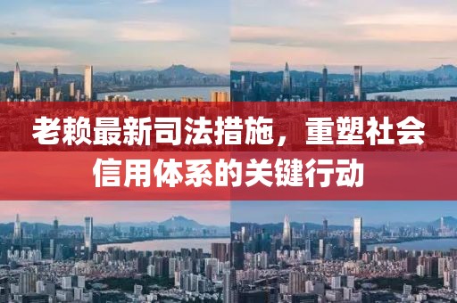 老賴最新司法措施，重塑社會信用體系的關(guān)鍵行動