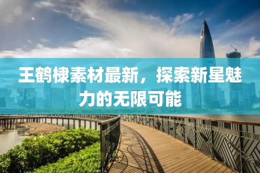 王鶴棣素材最新，探索新星魅力的無(wú)限可能