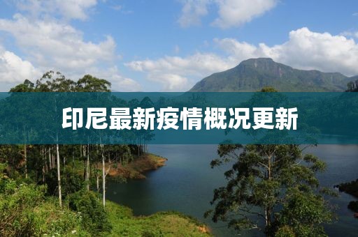 印尼最新疫情概況更新
