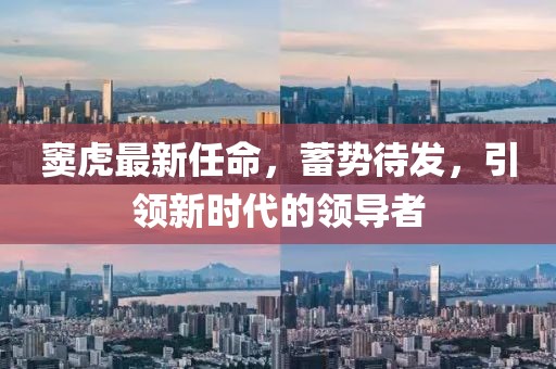 竇虎最新任命，蓄勢待發(fā)，引領(lǐng)新時(shí)代的領(lǐng)導(dǎo)者