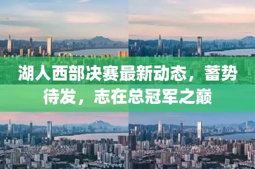 湖人西部決賽最新動態(tài)，蓄勢待發(fā)，志在總冠軍之巔