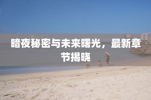 暗夜秘密與未來曙光，最新章節(jié)揭曉