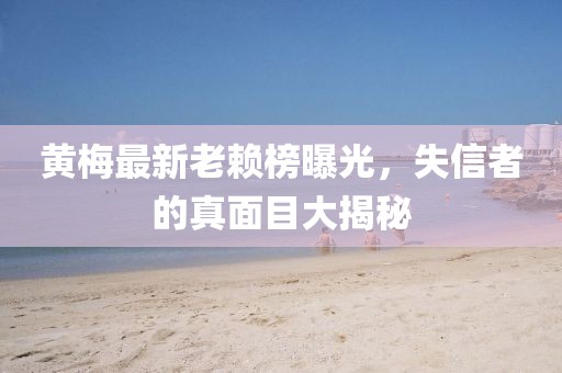 黃梅最新老賴榜曝光，失信者的真面目大揭秘